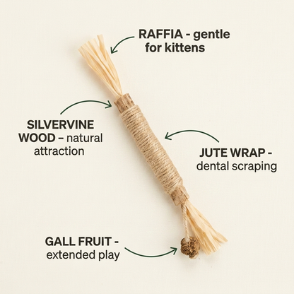 Silvervine Dental Sticks
