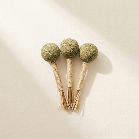 Catnip Lollipop x3