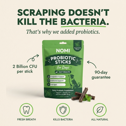 Probiotic Dental Chews