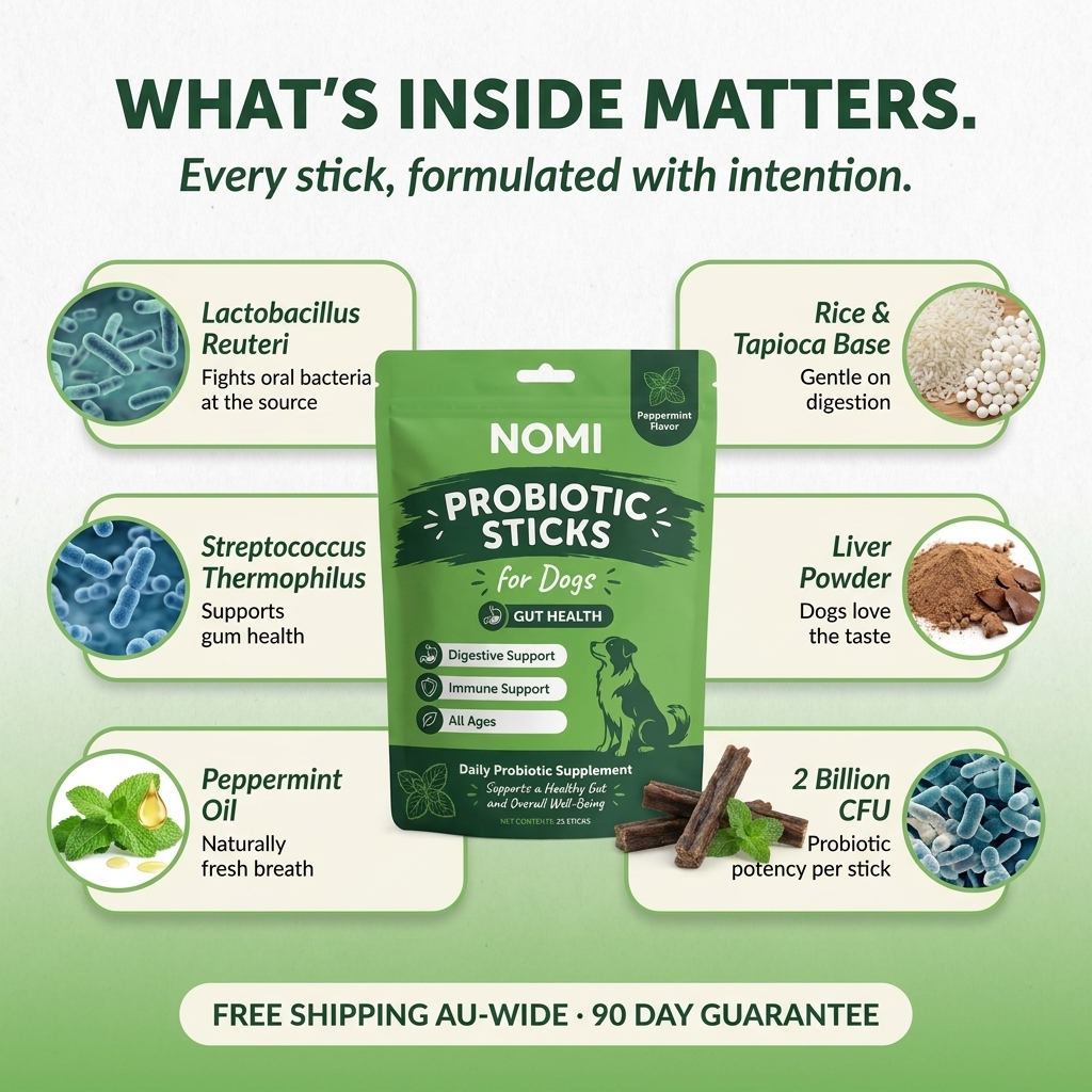 Probiotic Dental Chews