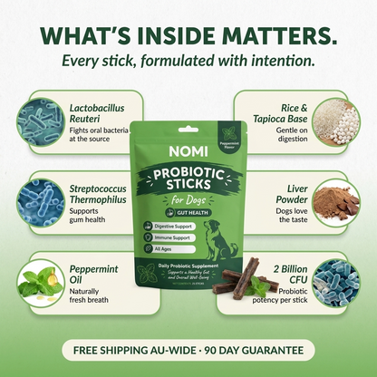 Probiotic Dental Chews