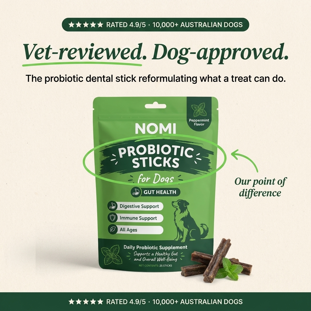 Probiotic Dental Chews