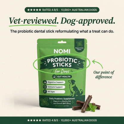 Probiotic Dental Chews