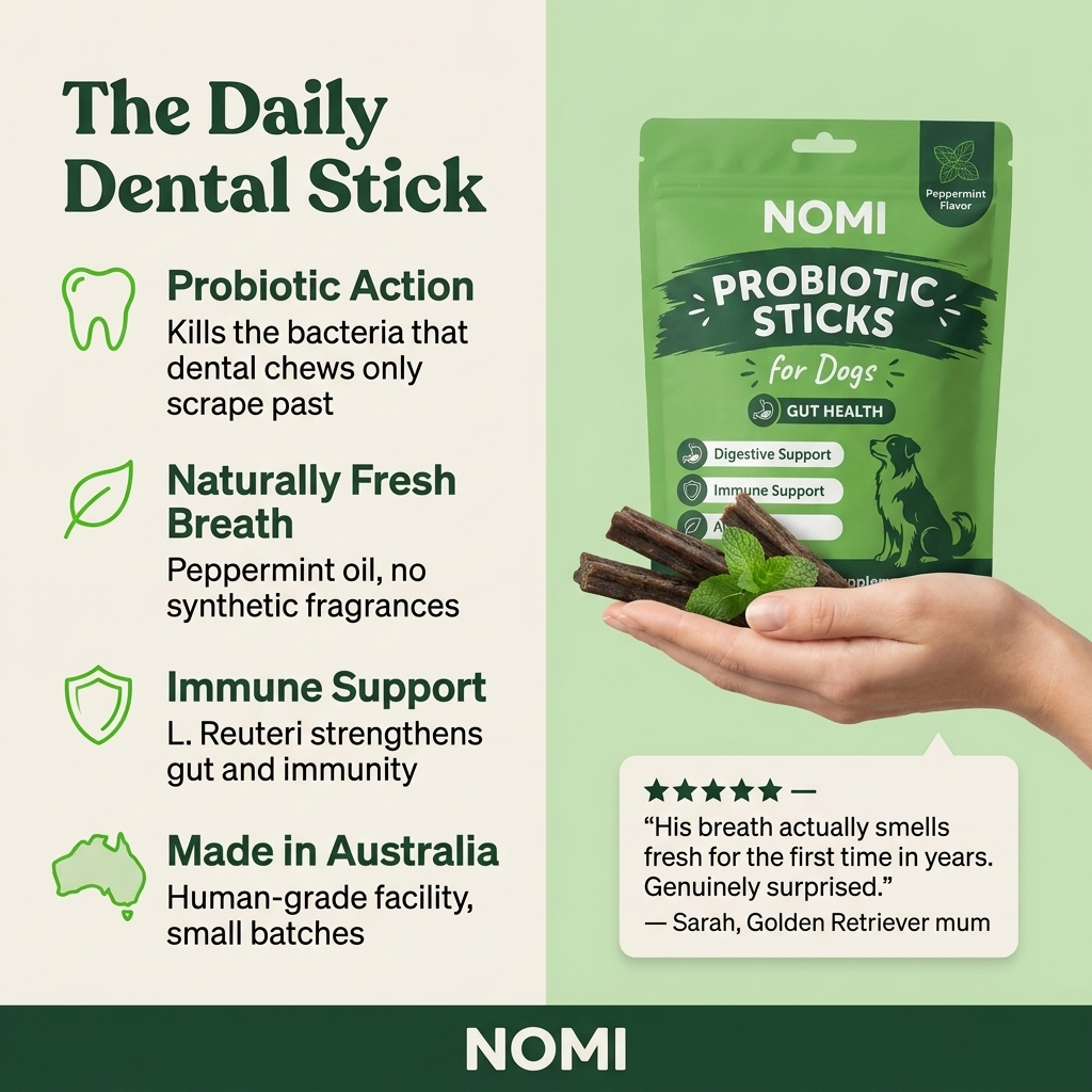 Probiotic Dental Chews