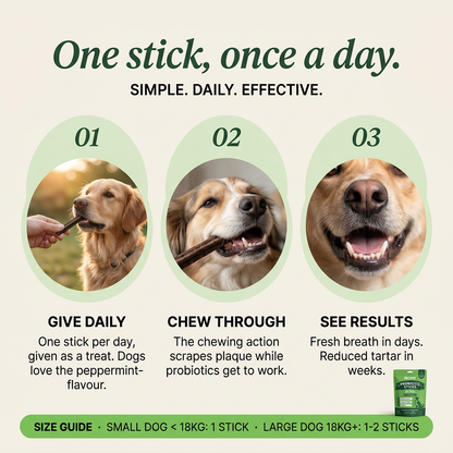 Probiotic Dental Chews