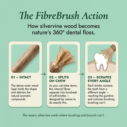 Silvervine Dental Sticks