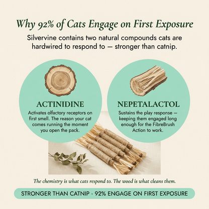 Silvervine Dental Sticks