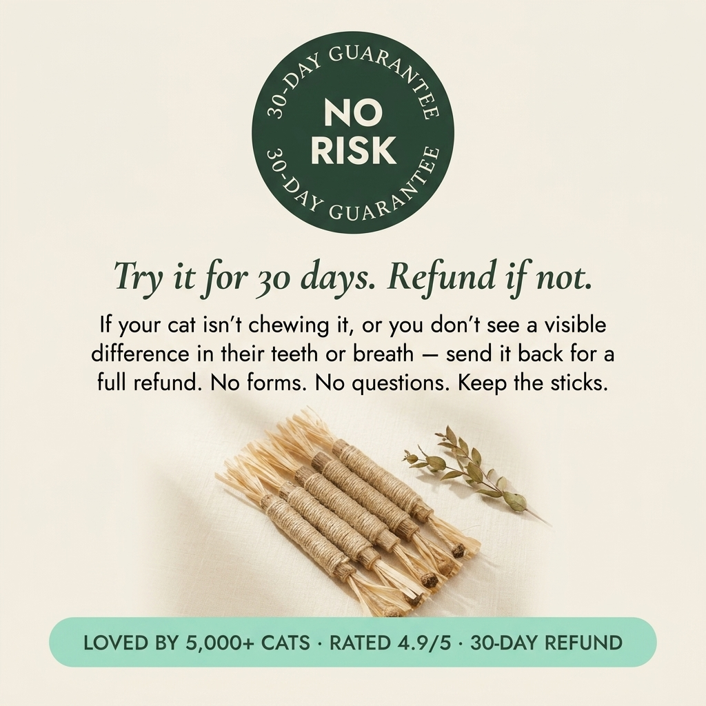 Silvervine Dental Sticks